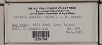 Image Associated With the Occurence